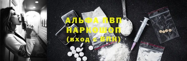 индика Верея