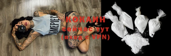 индика Верея