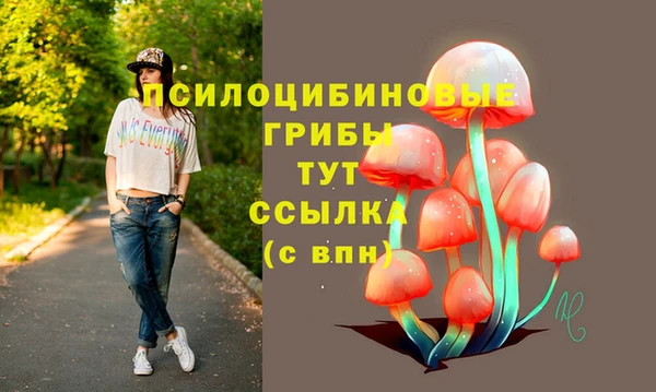 прущая мука Верхний Тагил