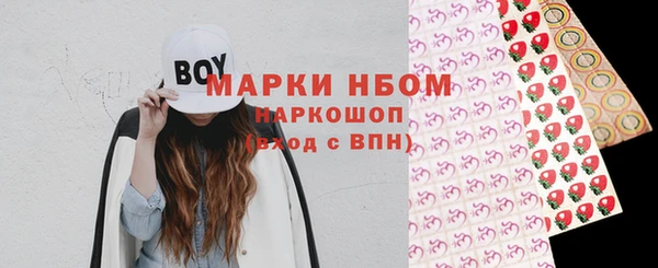 индика Верея