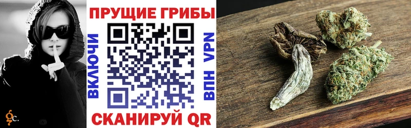 Псилоцибиновые грибы Psilocybine cubensis  купить   Знаменск 